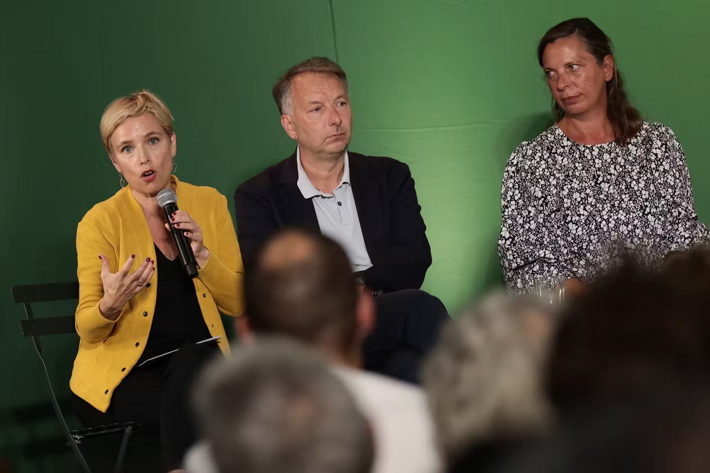 кандидат эколога Бруно Бернара на второй срок против альянса LR-Aulas