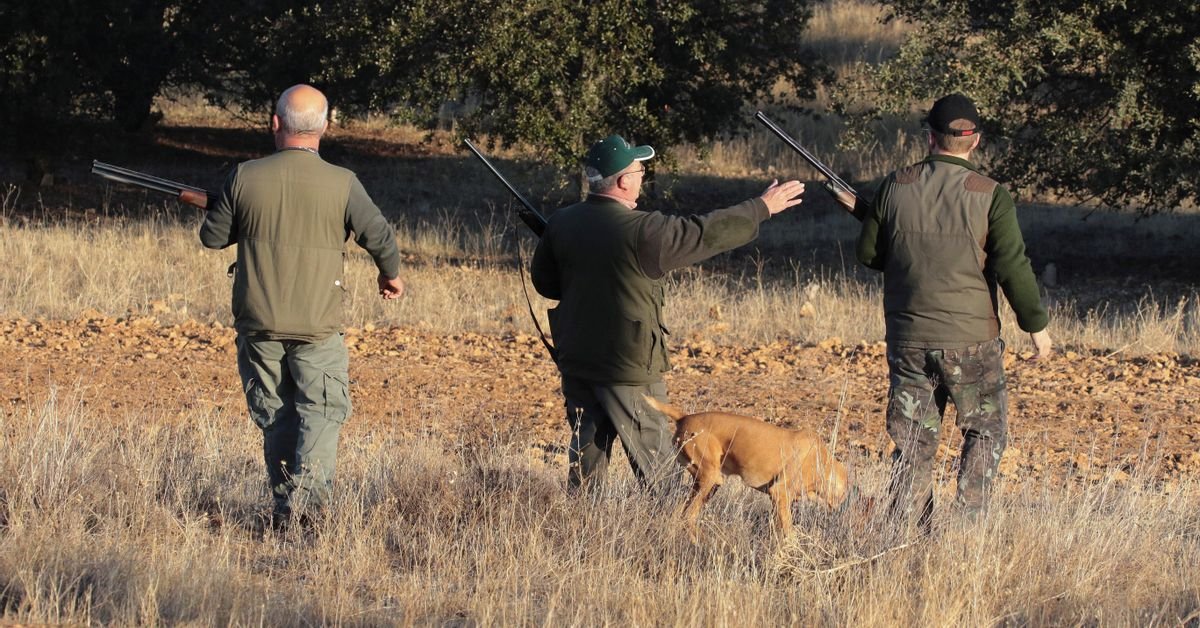 Охота и мужественность