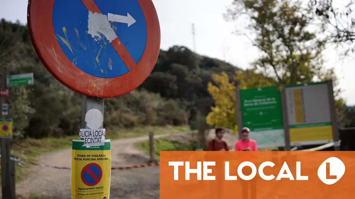 В Испании выявлено семь новых случаев африканской чумы свиней